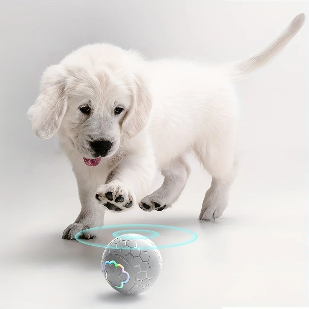GlowPaws™ Smart LED Dog Ball – USB Rechargeable, Auto-Bouncing Toy