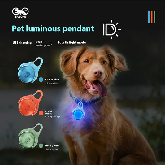 GlowPaws™ LED Tag – Safety Pendant for Night Walks (EU Shipping Soon)